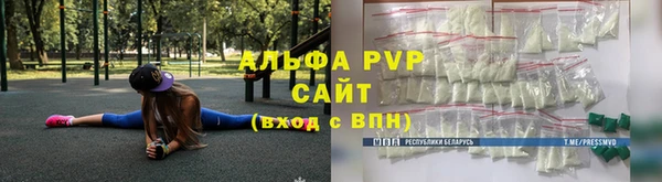 СК Вяземский