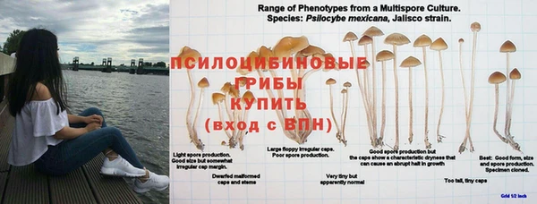 MESCALINE Карталы