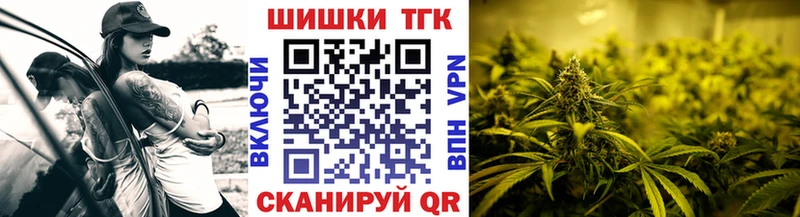что такое   Воркута  Конопля сатива 